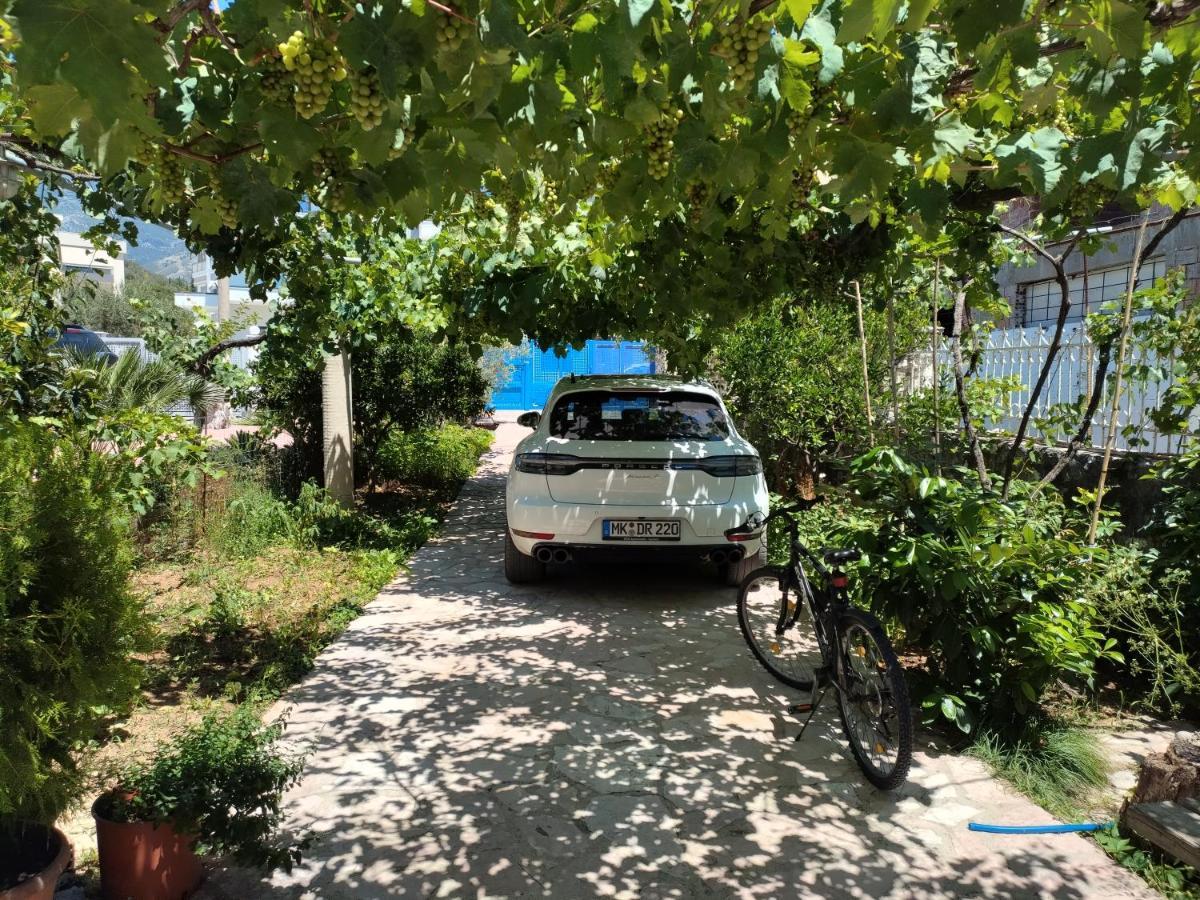 Magic Ionian Apartments & Rooms Himara Zewnętrze zdjęcie